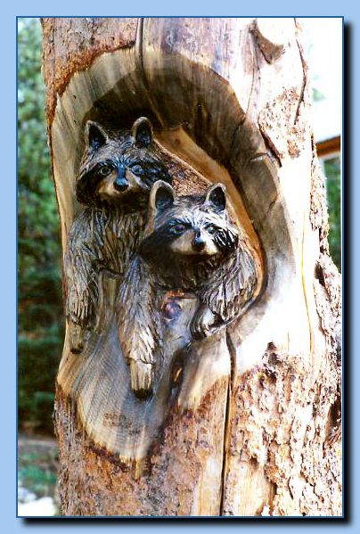 1-26 raccoons carved into tree stump